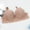 Beige, variant on Womens Bras Comfortable E Cup Seamless Bra Push Up Lace Bra Comfortable Breathable Everyday Ligerie XL