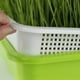 thumbnail image 5 of PIX-LINK Pot de doble capa de semillas de frijol hidropónico para césped de trigo, bandeja para guardería, kit de cultivo de microverduras sin suelo PIX-LINK Plantación y cuidado de plantas, 5 of 9