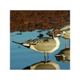 thumbnail image 2 of GHG Decoy Systems Hunter Series Over-Sized Full-Body Pintail Decoys, 4 Pack, 2 of 2