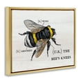 thumbnail image 2 of Stupell Industries Anatomy of Honey Bee Pun Charming Bee's Knees Metallic Gold Framed Floating Canvas Wall Art, 16x20, by Daphne Polselli, 2 of 5