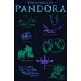 thumbnail image 2 of Girl's Avatar The World of Pandora Graphic Tee Navy Blue X Small, 2 of 4