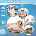 thumbnail image 5 of Dog ice silk mat Summer pet mat Teddy kennel bite resistant, 5 of 5