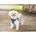 thumbnail image 7 of Pet Life ® 'Flam-Bowyant' Mesh Reversed and Adjustable Dog Harness, 7 of 7