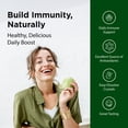 thumbnail image 3 of Flora - SambuGuard Elderberry Crystals, Provides Antioxidants & Immune Support, Strengthen Immunity, Detox Body, Boost Energy, 1.7-oz. Powder, 3 of 7