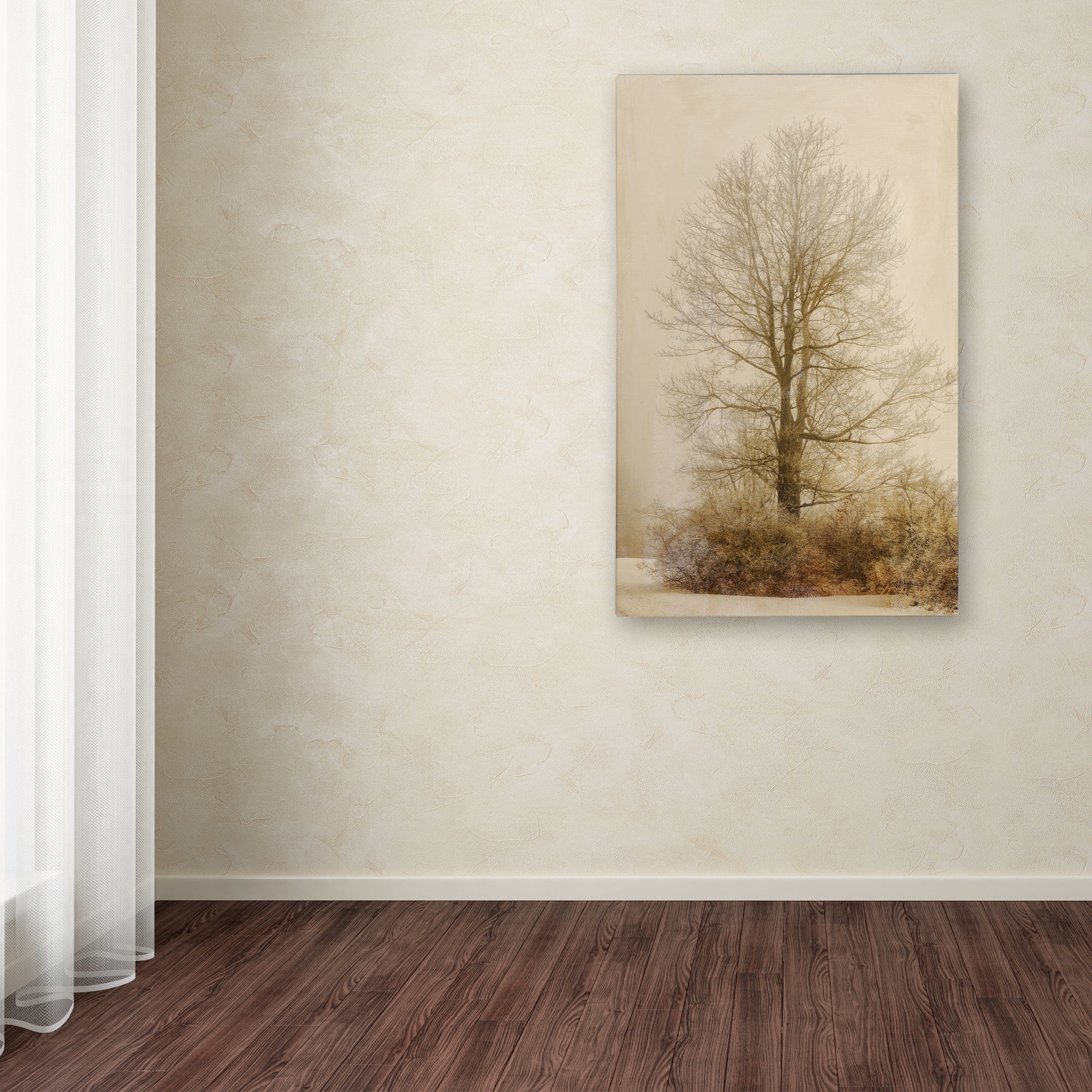 Trademark Fine Art "Tan Tones in the Fog" Canvas Art by Lois Bryan