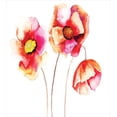 thumbnail image 3 of Poppy Flower Duvet Cover Set, Watercolors Vibrant Poppies Graphic Peace and Death Sedative Plant Print, Decorative 3 Piece Bedding Set with 2 Pillow Shams, Queen Size, Red White, by Ambesonne, 3 of 3