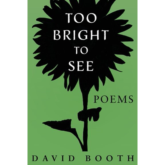 Pre-Owned Too Bright to See (Paperback) 1734114266 9781734114263