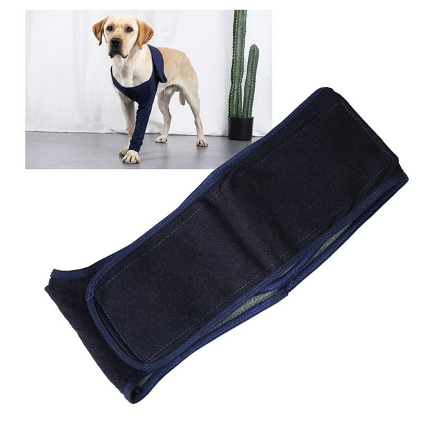 Dog elbow outlet protector