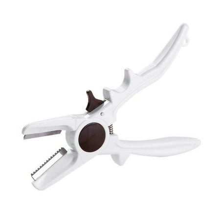 

CHAOMA Multifunctional Nut Cracker Chestnut Opener Heavy Duty Nut Cracker Walnut Tool