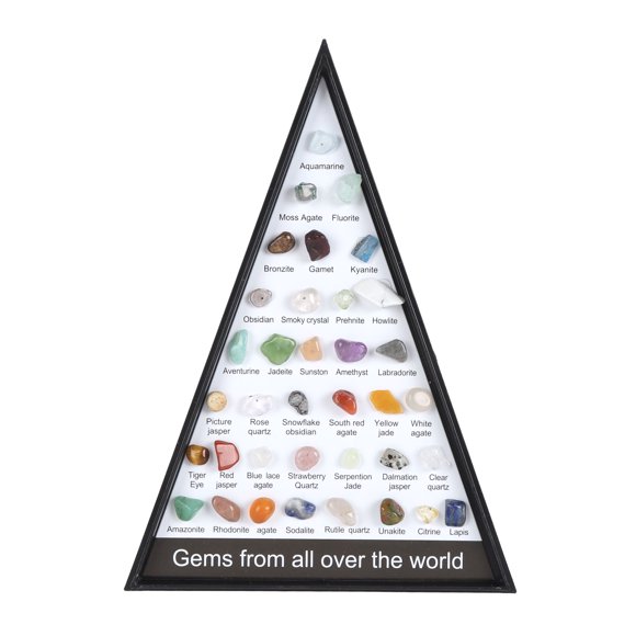 Mineral Rock Collection Kit, Clear Display Case, Fun Science Educational Kit for Kids with Rock Science Educational Kit
