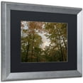 thumbnail image 2 of Trademark Fine Art "Autumn Window to a Sunset" Canvas Art by Kurt Shaffer, Black Matte, Silver Frame, 2 of 4