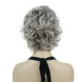 thumbnail image 4 of Women's Short Curly Wavy Wig Synthetic Hair Full Wig for Daily Use, 6 inches, Light Gray with Dark Root, 4 of 8