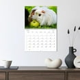 thumbnail image 3 of Guinea pig. Beloved rodents (Monthly Wall Calendar 2026 11.7 x 16.5 (open)), CALVENDO 14 Month Calendar, 3 of 9
