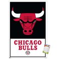 thumbnail image 1 of NBA Chicago Bulls - Logo 21, 1 of 4