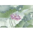 thumbnail image 2 of L., Binbin 24x18 Black Ornate Wood Framed with Double Matting Museum Art Print Titled - Lotus, 2 of 4