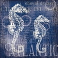 thumbnail image 3 of Lula Bijoux and Company 20x20 Black Modern Framed Museum Art Print Titled - Navy Sea Horses, 3 of 5