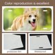 thumbnail image 3 of 15 Pack Sublimation License Plate Blanks,Metal Aluminum Car Tag White,Thermal Transfer DIY Custom Picture Design, 3 of 5