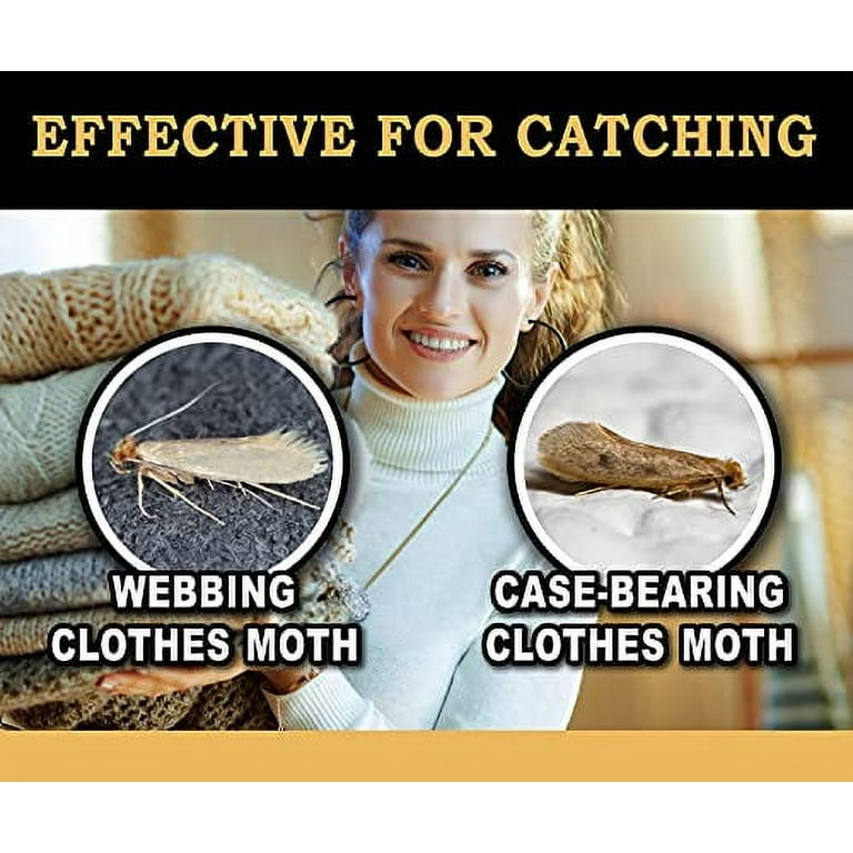MaxGuard Clothes Moth Traps (6+2 Free Traps) with Extra Strength Pheromones, Non-Toxic Sticky Glue Trap for Closets and Carpet Moths, No Mothballs, Lure, Trap and Kill Case-Bearing Webbing Moths