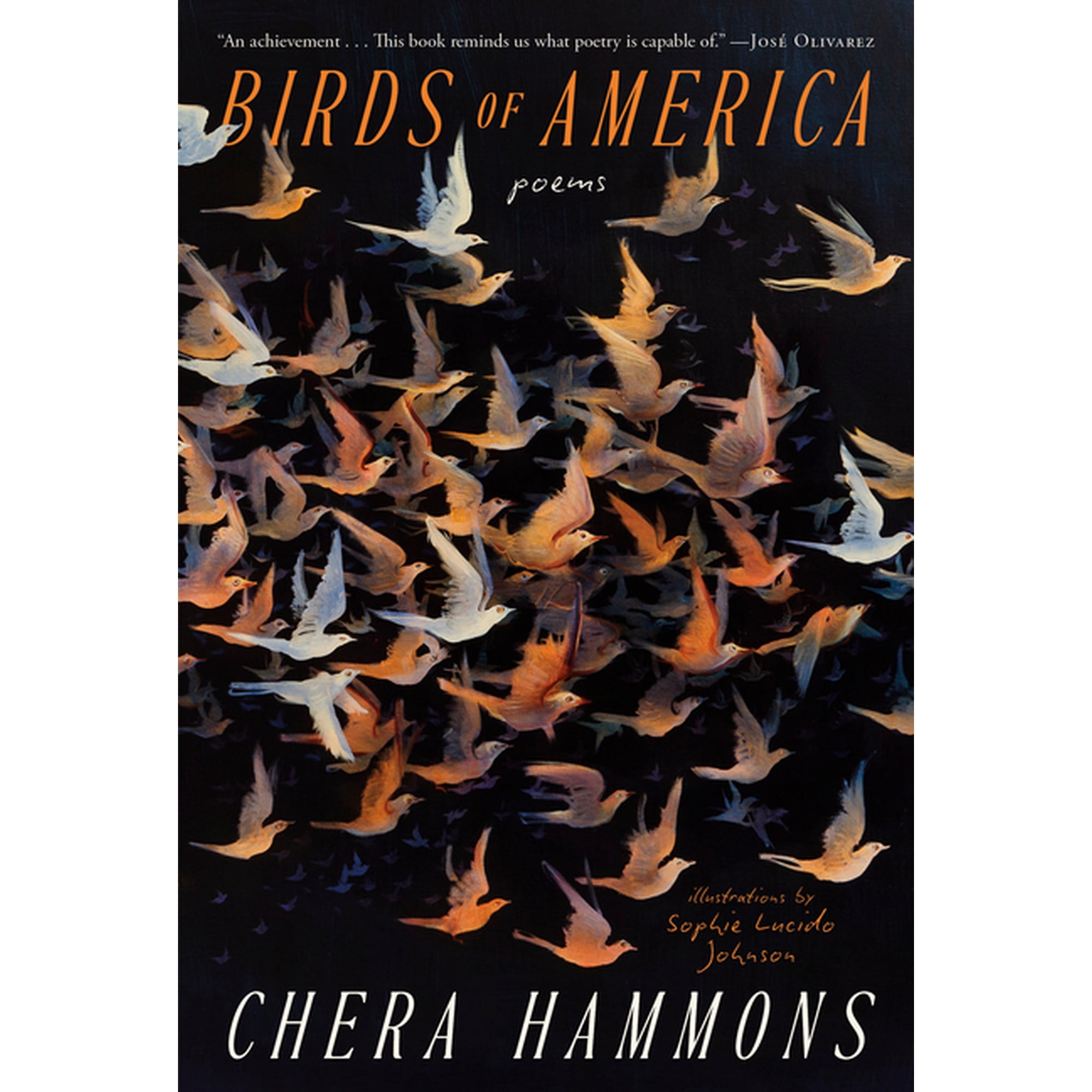 Birds of America: Poems (Paperback)