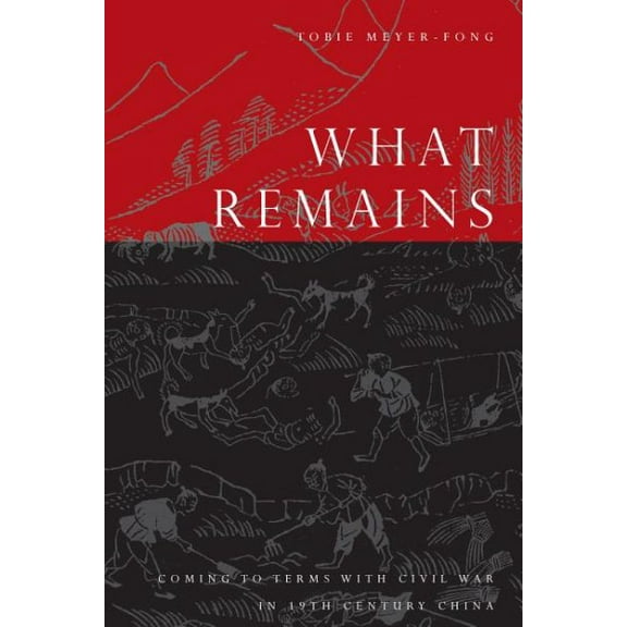 What Remains : Coming to Terms with Civil War in 19th Century China (Paperback)
