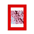 thumbnail image 1 of Sakura Japanese Cherry Blossom Picture Display Art Red Photo Frame, 1 of 4