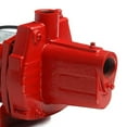 thumbnail image 2 of Red Lion RJS-100-PREM 1HP Cast Iron Thermoplastic Shallow Well Jet Pump | 602208, 2 of 5