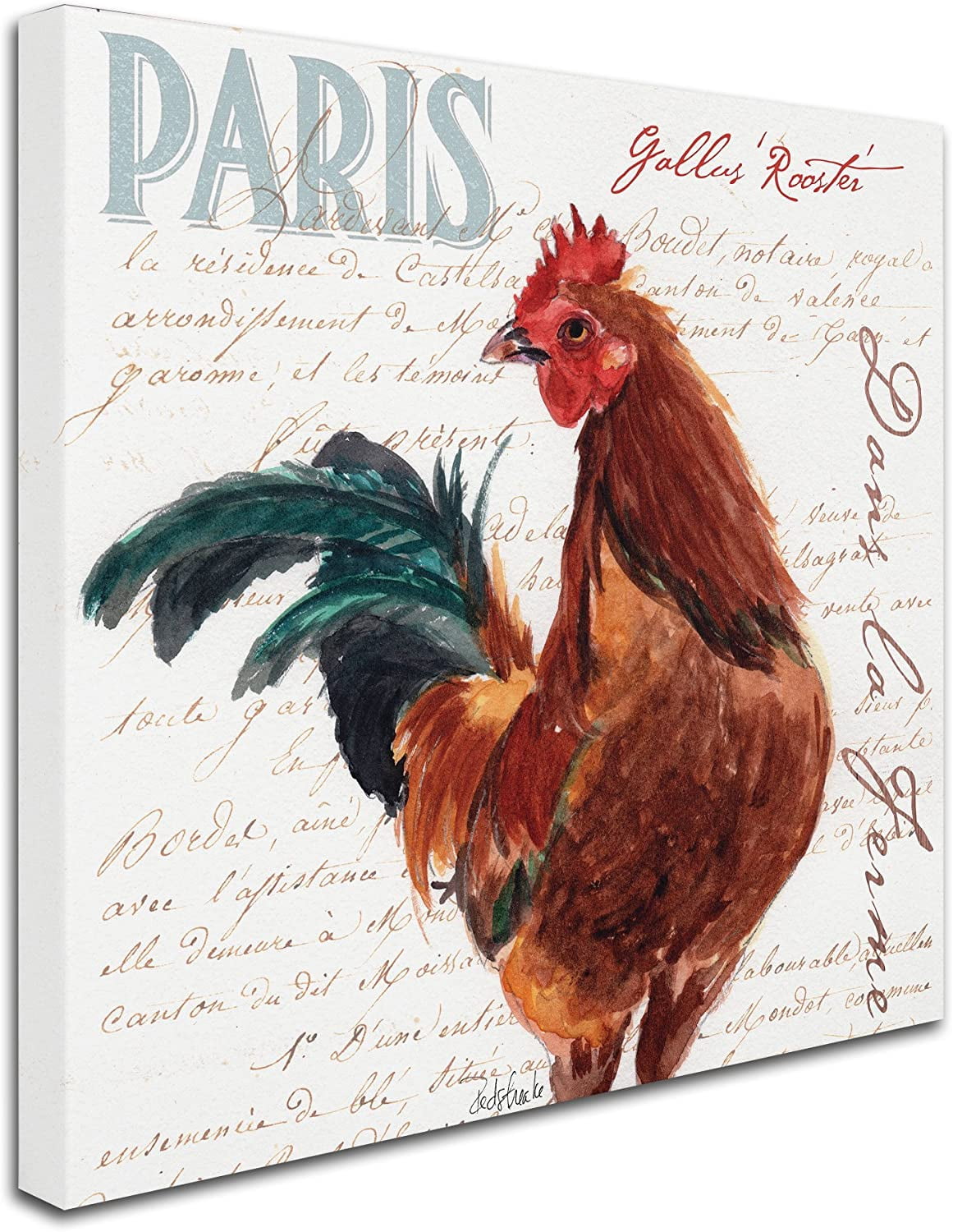 Trademark Fine Art "Dans la Ferme Rooster II" Canvas Art by Jennifer Redstreake