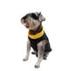 thumbnail image 2 of Chaleco Deportivo P/Perro Pet Pals Amarillo/Negro Talla 00, 2 of 4