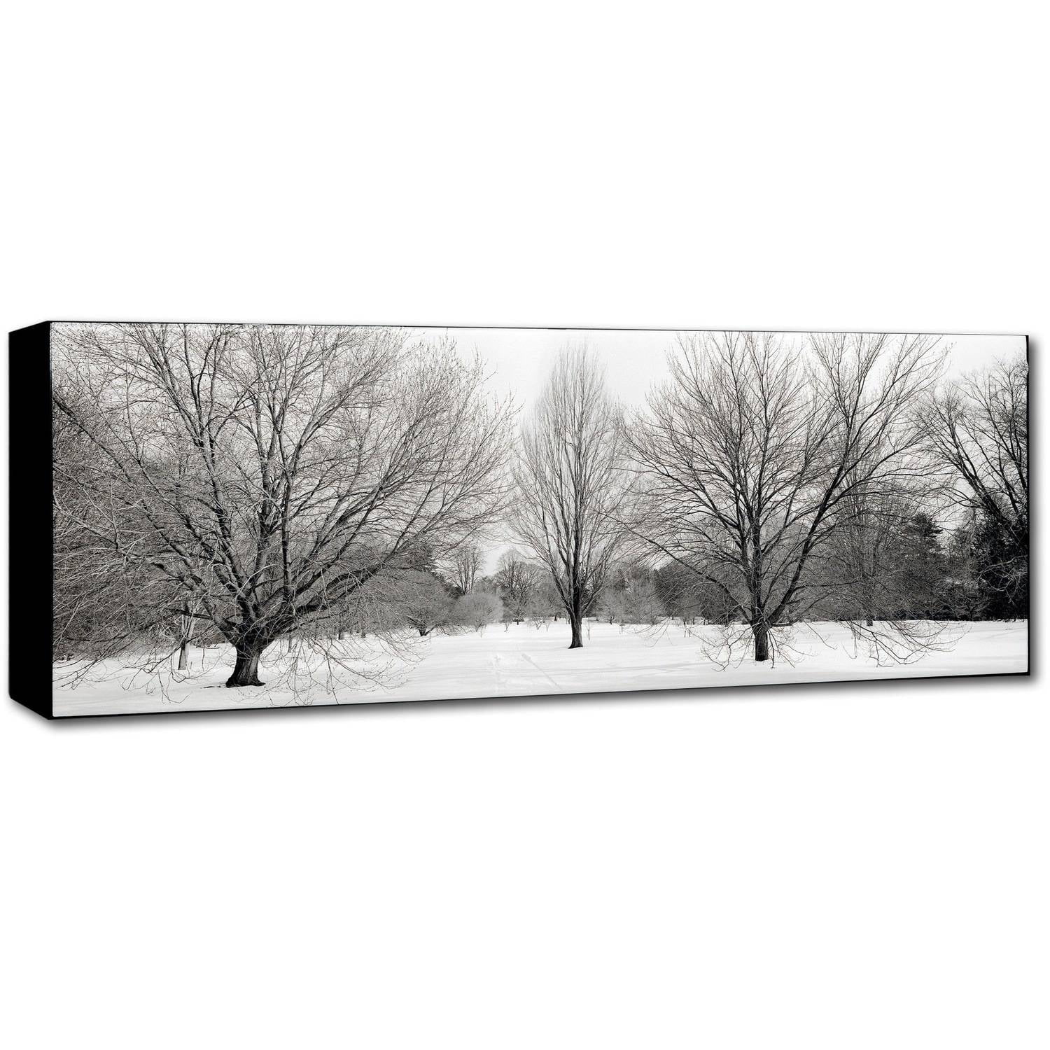 Trademark Fine Art "Winter Garden I" Canvas Art by Alan Blaustein