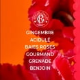 thumbnail image 3 of Fragancia sólida Roger & Gallet Red Ginger 5g, 3 of 7