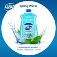 Dial Complete Antibacterial Liquid Hand Soap Refill, Spring Water, 52