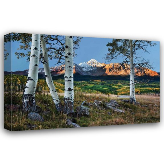 Larry Malvin 18x13 Gallery Wrapped Canvas Wall Art Titled - Wilson Peak Aspens I