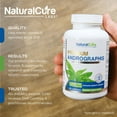thumbnail image 5 of Andrographis 1200mg - Paniculata Immune Support Formula - 120 Vegan Capsules - Natural Cure Labs, 5 of 10