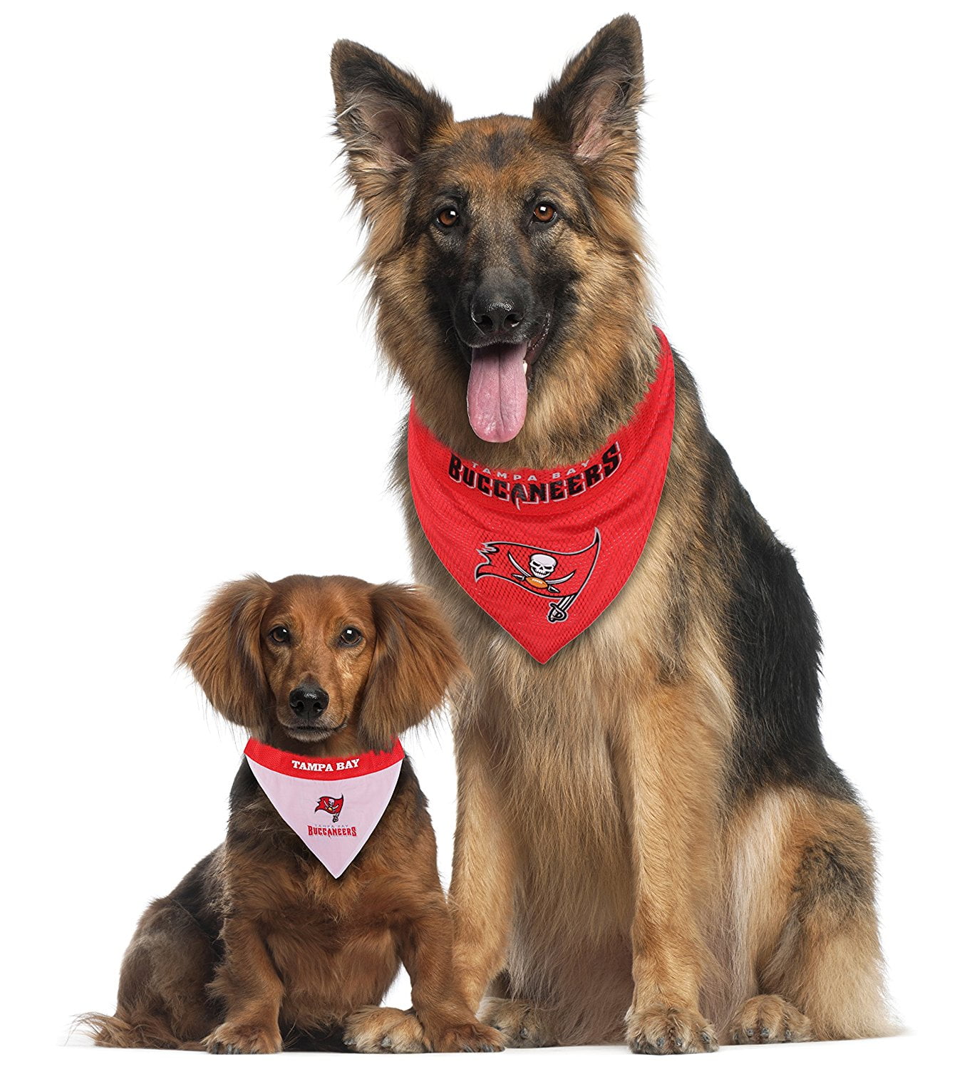 Pets First Nfl Tampa Bay Buccaneers Reversible Bandana -Home & Away Mesh & Premium Embroidery For Dogs & Cats