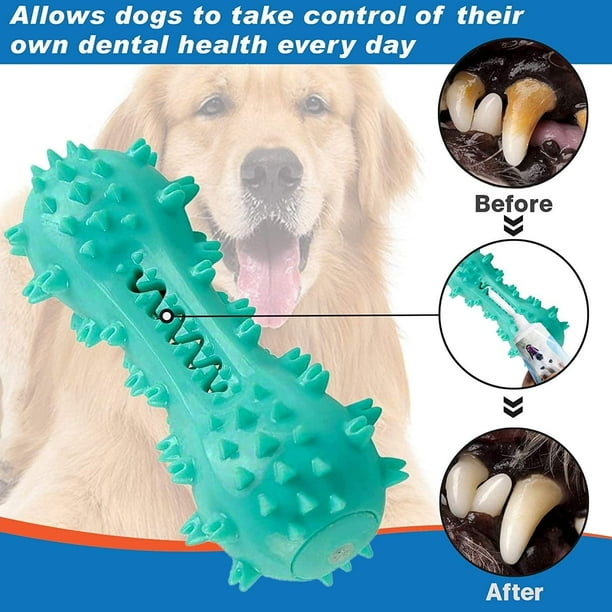Dog toys that brush teeth sale