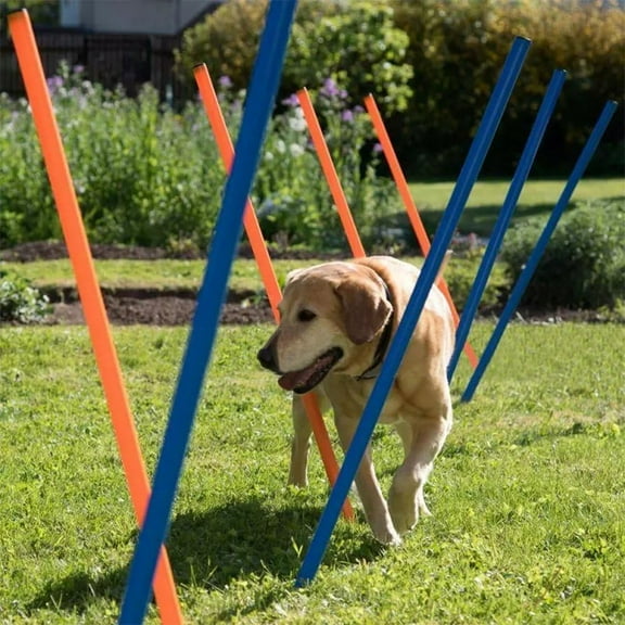 Dog Agility Training Equipment,12 Weave Poles for Dogs with Stakes & Carry Bag, Dogg Agility Training Set for Outdoor Obstacle Course, Backyard Dog Exercise & Training Equipment for All Breeds