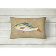 thumbnail image 2 of Carolines Treasures 8816PW1216 Rainbow Trout Canvas Fabric Decorative Pillow, 12H x16W, multicolor, 2 of 3