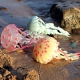 thumbnail image 4 of Oenux - Figuras de acción de PVC emulativas de animales marinos, medusas, tiburones y tortugas, juguetes educativos para fiestas de Navidad, 4 of 5