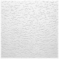 thumbnail image 1 of USG Interiors 4240 12 x 12 in. Tivoli Ceiling Tile - Pack Of 32, 1 of 5