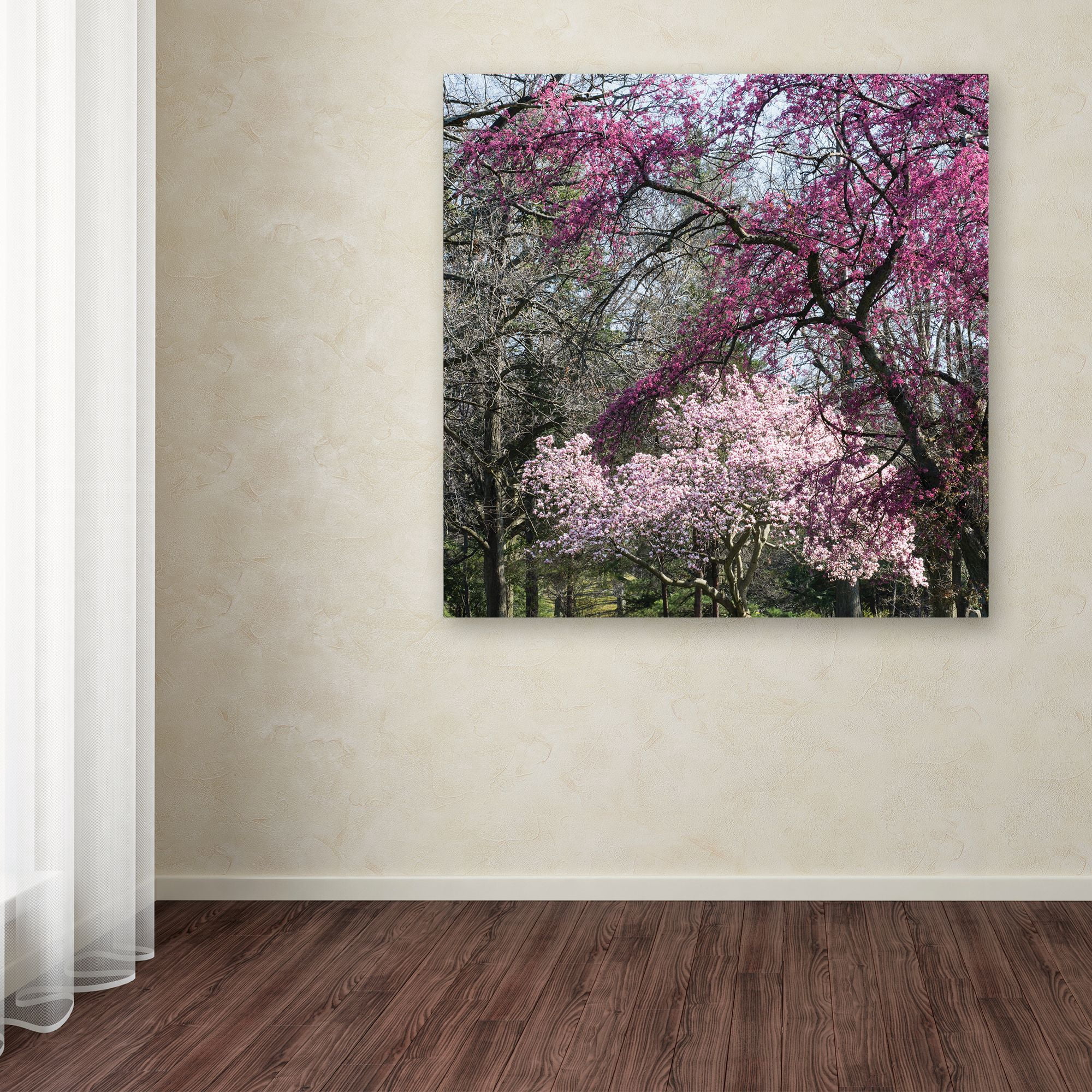 Trademark Fine Art 'Mauve and Pink Flowering Trees of Spring' Canvas Art by Kurt Shaffer