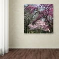 thumbnail image 3 of Trademark Fine Art 'Mauve and Pink Flowering Trees of Spring' Canvas Art by Kurt Shaffer, 3 of 3