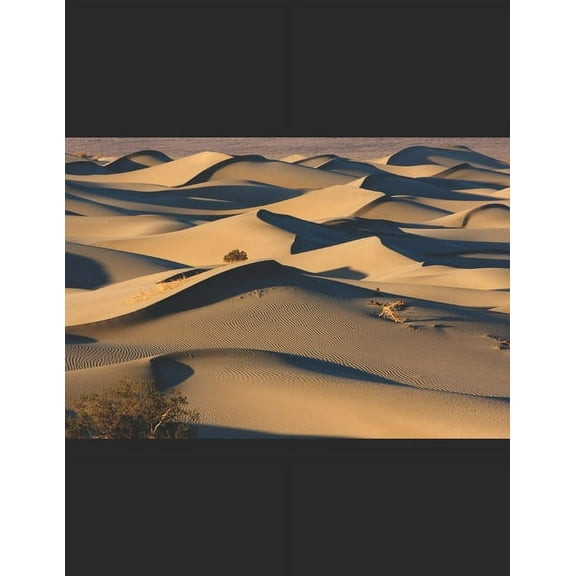 Beautiful Sand Dunes in Death Valley (Paperback)
