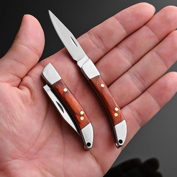 10cm Sharp Blade Stainless Steel Mini Folding Knife with Ergonomic Handle, Portable Outdoor & EDC Tool for Package Opening, Fruit Cutting, Multifunctional Everyday Carry Pocket Knife (Small Pointed