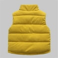 thumbnail image 3 of fatyb Quilted Vest for Kids Warm Sleeveless Boys Girls Casual Stand Collar Padded Jacket with Pockets, 3 of 4
