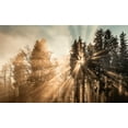 thumbnail image 2 of Eisenmann, Ulrike 32x21 Gold Ornate Wood Framed with Double Matting Museum Art Print Titled - Fading away, 2 of 4