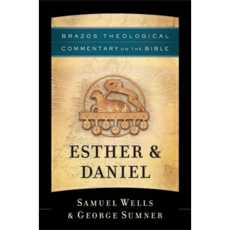 Esther & Daniel (Brazos Theological Commentary on the Bible) - (Best Commentaries On Daniel)