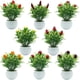 thumbnail image 1 of Gwong Decoración hogareña Fresa artificial de champiñones Fruta Planta Bonsai Sala de estar Decoración de jardín Gwong 21039039, 1 of 7