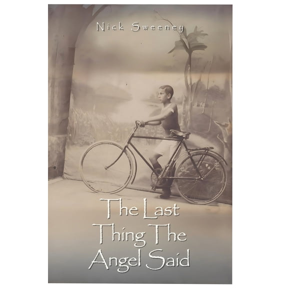 The Last Thing the Angel Said, (Paperback)
