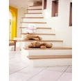 thumbnail image 1 of BSDHOME Polyester Stairs Cartoon Animal Photography Backdrops Photo Props Studio Background 5x7ft, 1 of 2