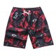 thumbnail image 1 of Pantalones cortos con estampado para hombre, Shorts rectos, holgados y cómodos, para la playa, para jóvenes, para primavera y verano Fivean unisex, 1 of 2